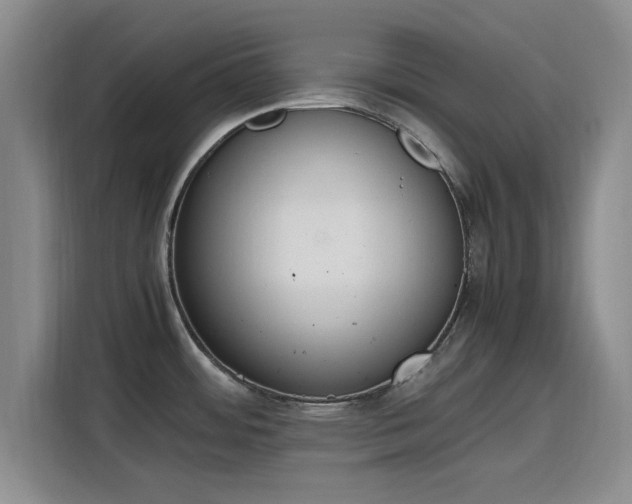 X0000115781484200911201302