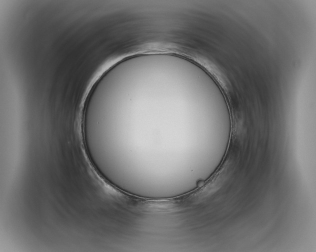 X0000115781486200911201302
