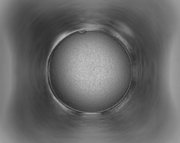 X0000115781487200911201302