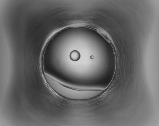 X0000115781488200911201302