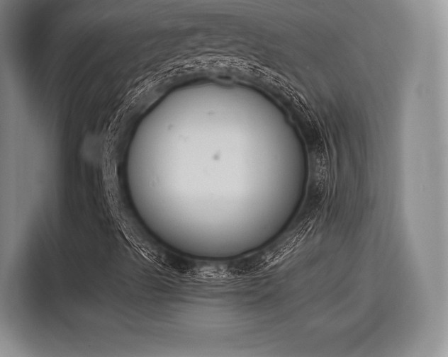 X0000115781489200911201301