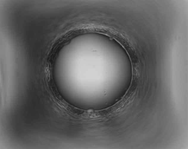 X0000115781493200911201301