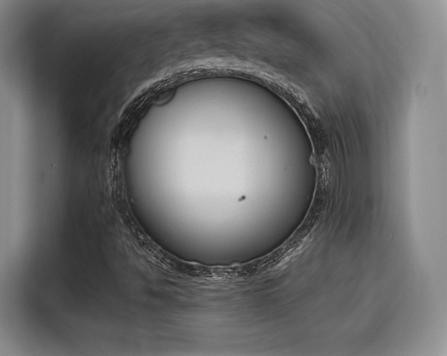 X0000115781494200911201301