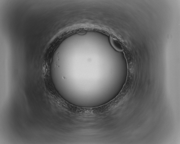 X0000115781495200911201301