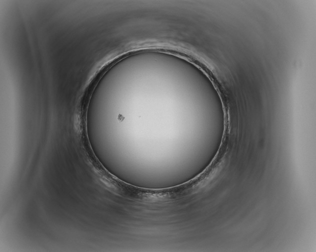 X0000115781501200911201301