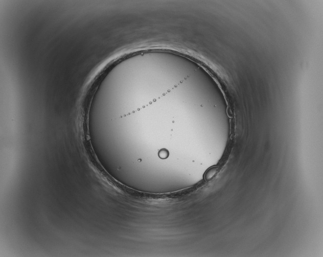 X0000115781502200911201301