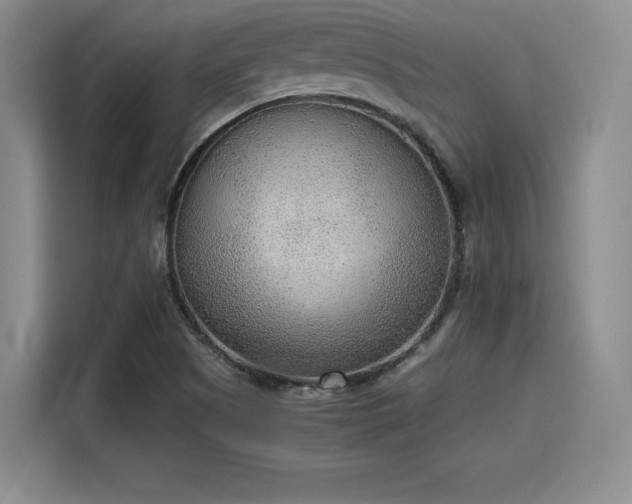 X0000115781505200911201301