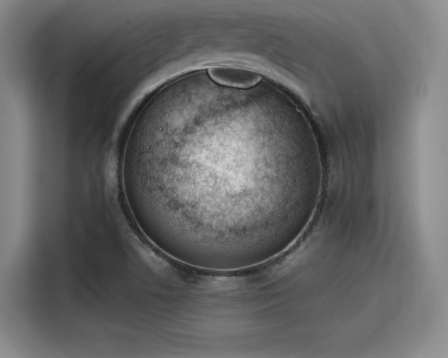 X0000115781506200911201301