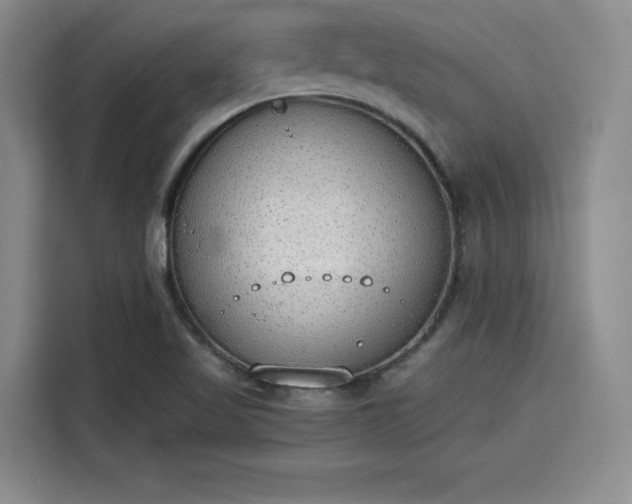 X0000115781509200911201301