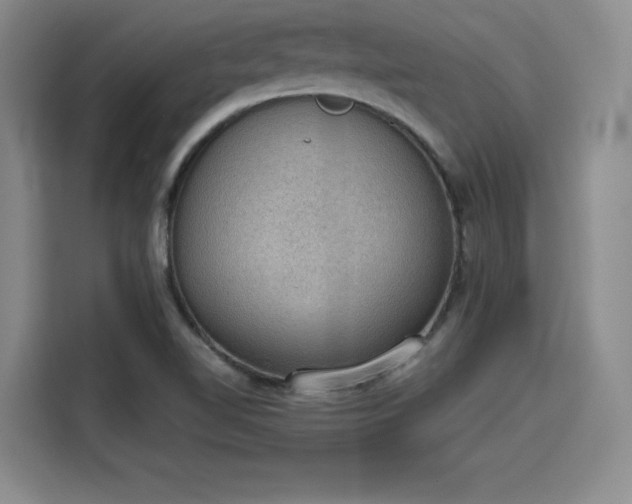 X0000115781510200911201301