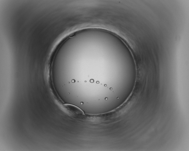 X0000115781511200911201301