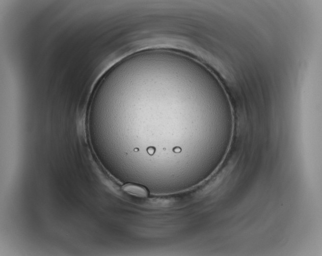 X0000115781513200911201301