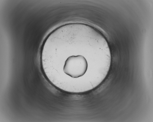 X0000115781514200911201301