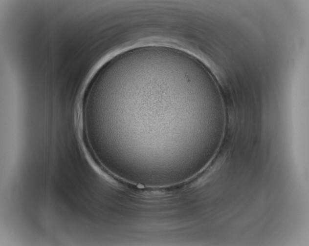 X0000115781515200911201301