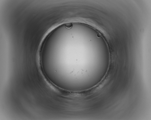 X0000115781517200911201301