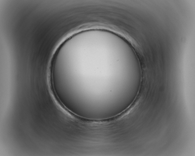 X0000115781518200911201301