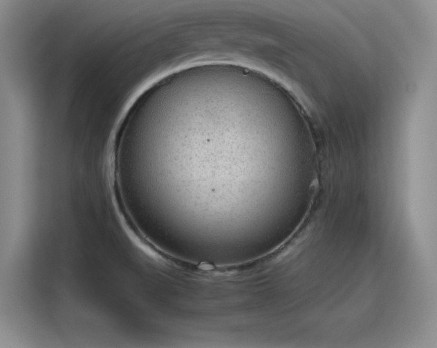 X0000115781519200911201301