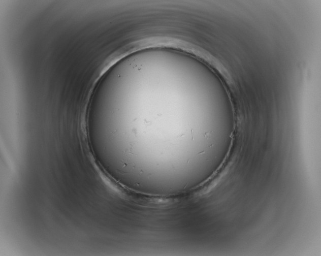 X0000115781521200911201301