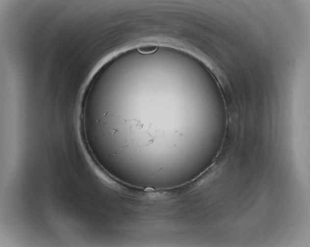 X0000115781523200911201301