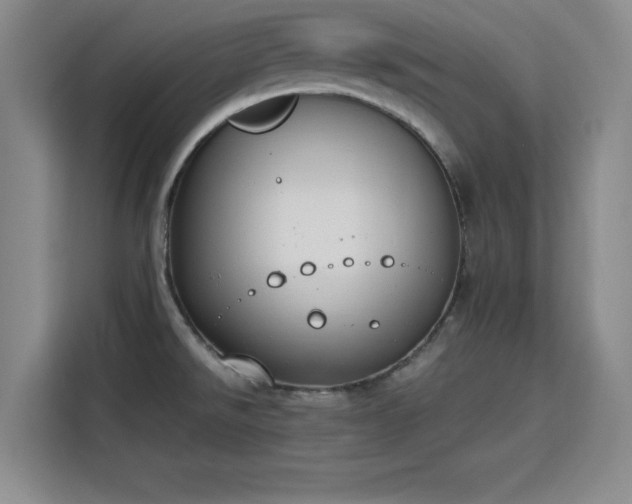 X0000115781526200911201302