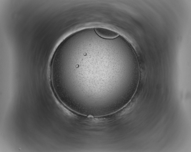 X0000115781527200911201302