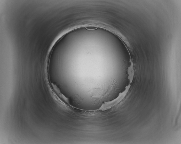 X0000115781530200911201302