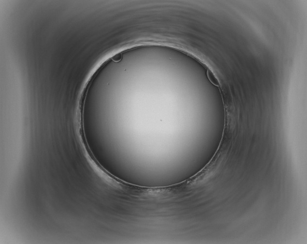 X0000115781531200911201302