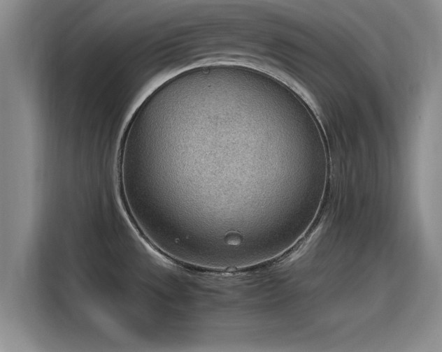 X0000115781533200911201302