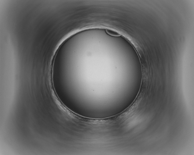 X0000115781534200911201302