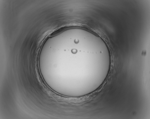 X0000115780001200911271215