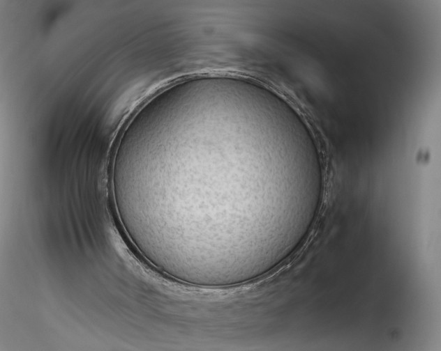 X0000115780002200911271215