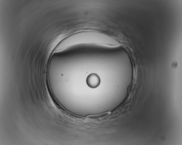 X0000115780003200911271215