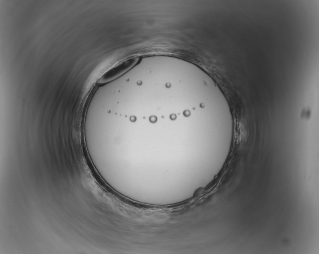 X0000115780004200911271215