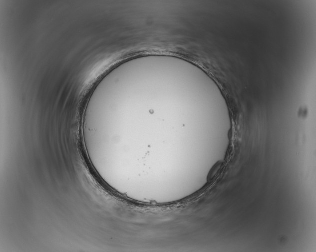 X0000115780005200911271215