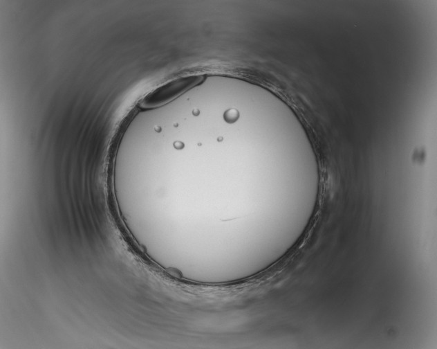 X0000115780006200911271215