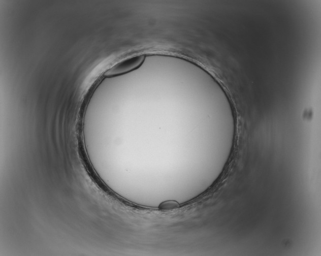 X0000115780007200911271215