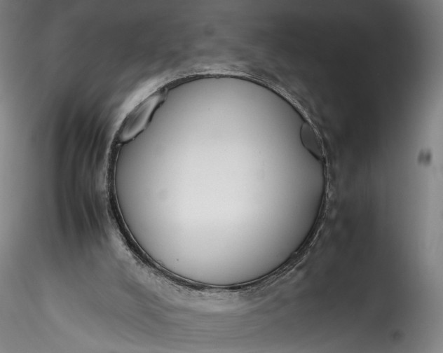 X0000115780008200911271214