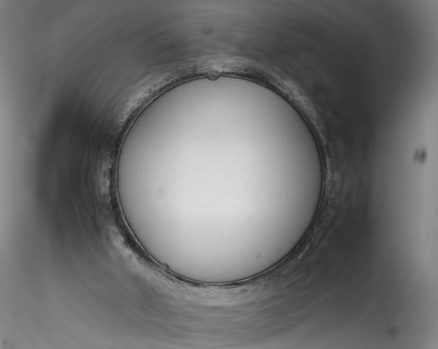 X0000115780010200911271214