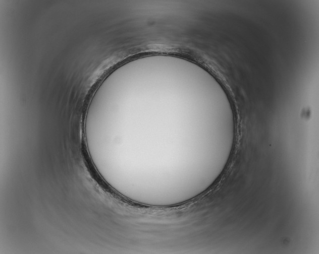 X0000115780011200911271214