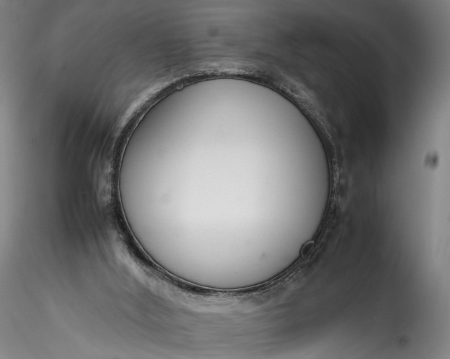 X0000115780012200911271214