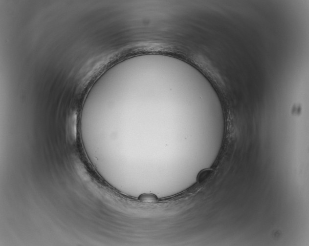 X0000115780014200911271214