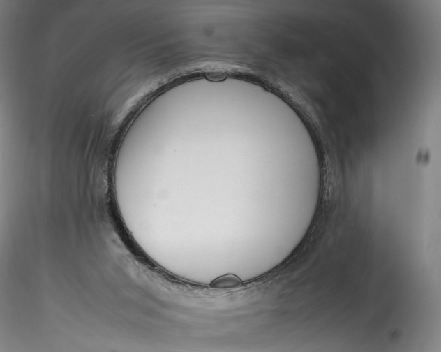 X0000115780015200911271214