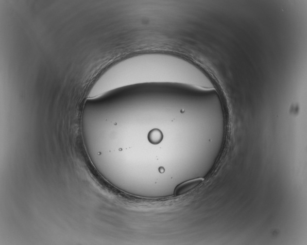 X0000115780017200911271214