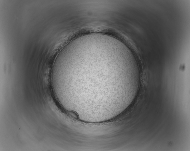 X0000115780018200911271214