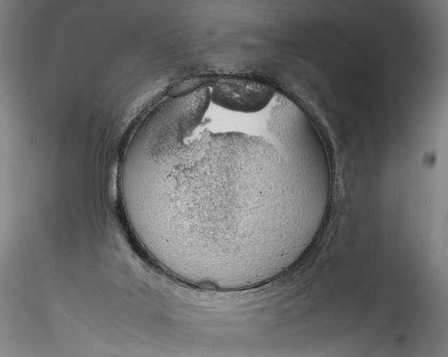 X0000115780019200911271214