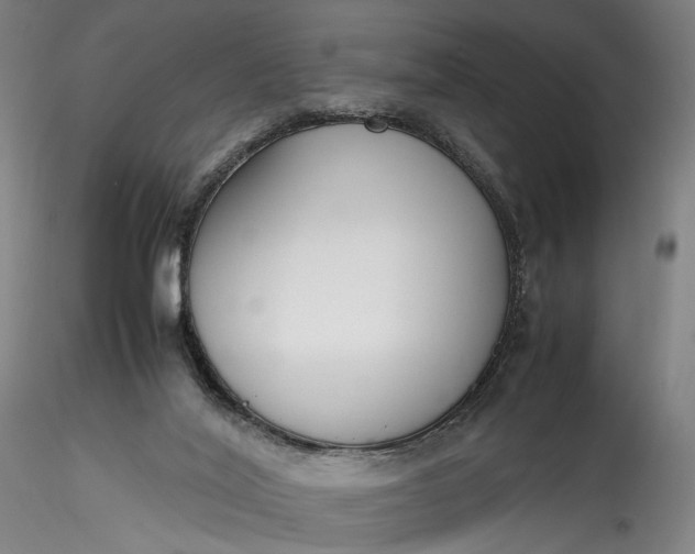 X0000115780020200911271214