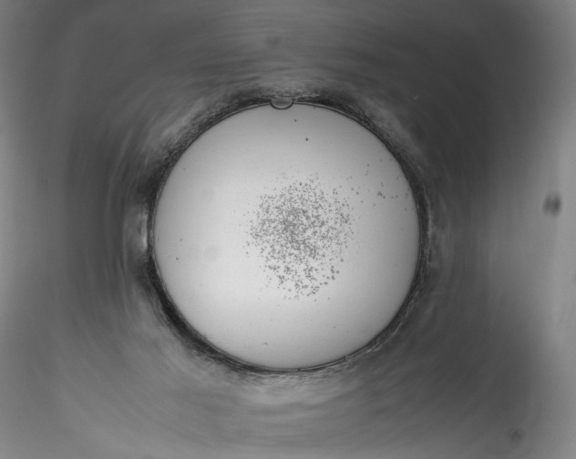 X0000115780021200911271214