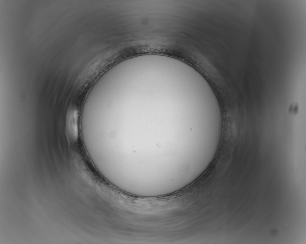 X0000115780022200911271214