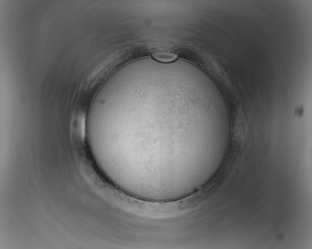 X0000115780027200911271214