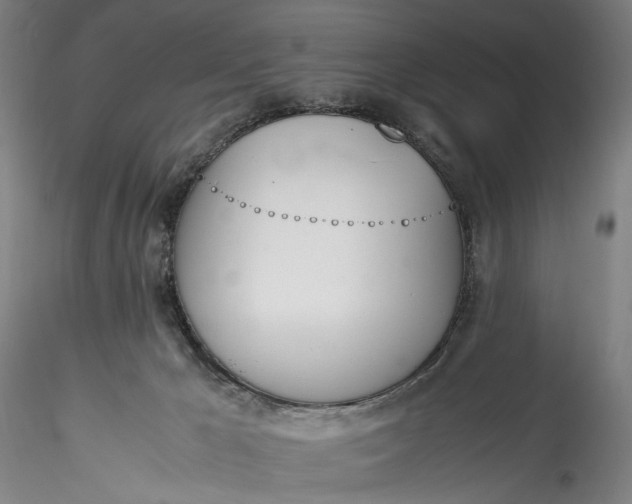 X0000115780029200911271214